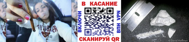 Бошки Шишки Кашин