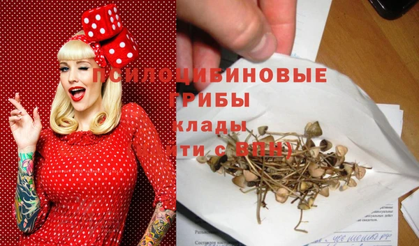 PSILOCYBIN Богданович