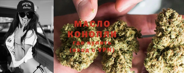 молекула духа Бугульма