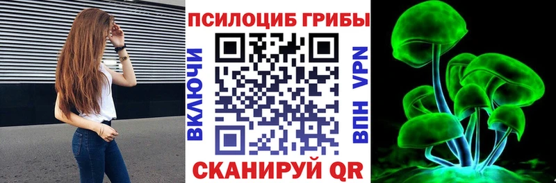 где можно купить   Кашин  MEGA как зайти  Галлюциногенные грибы ЛСД 